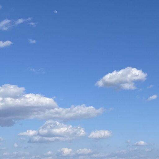 遺伝子博士エイジングケア⭐️アンチエイジング⭐️どれを選べばいいの！😞遺伝子検査キット｜遺伝子リスク｜老化リスク｜糖化リスク｜過酸化脂質リスク｜お肌のトラブル｜